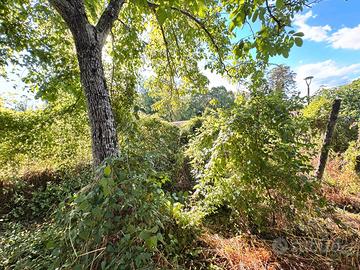 Villino in centro storico con giardino