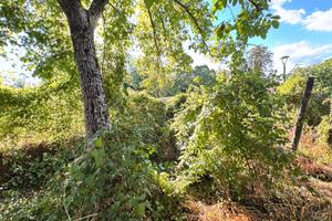 Villino in centro storico con giardino