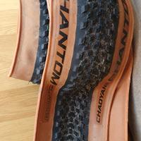 Copertone mtb tubeless..29x2.20...Chaoyang Phantom