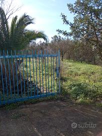 Terreno agricolo irriguo