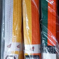 CINTURE colorate KARATE 2 euro cad.