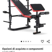 panca palestra 