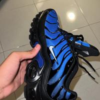 Nike tn blu e nere