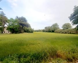 Terreno agricolo e casale