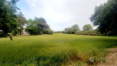 Terreno agricolo e casale