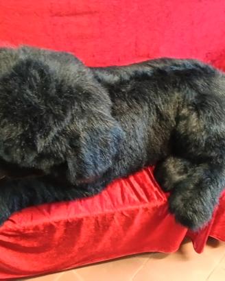 Peluche gigante cane Terranova 