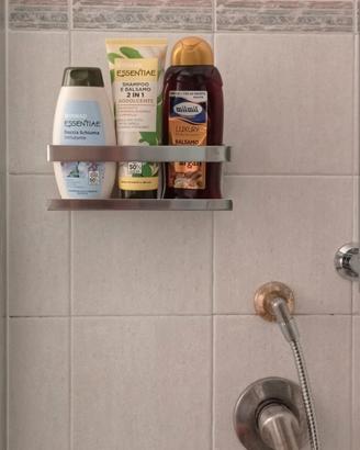 Camera studenti appartamento intero