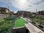 Immagine 19