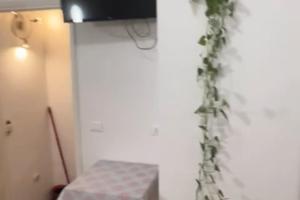 2 monolocali a gaeta da gennaio a giugno