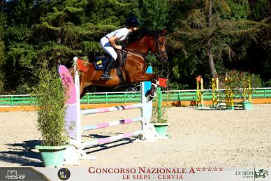 doppio pony castrone
