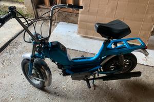 Mini califfo 50 rizzato