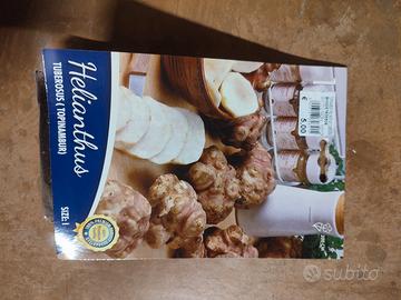 Tuberi di topinambur o carciofo di Gerusalemme