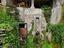 Immagine 14