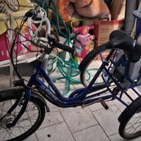 bici elettrica a 3 ruote