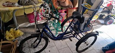 bici elettrica a 3 ruote