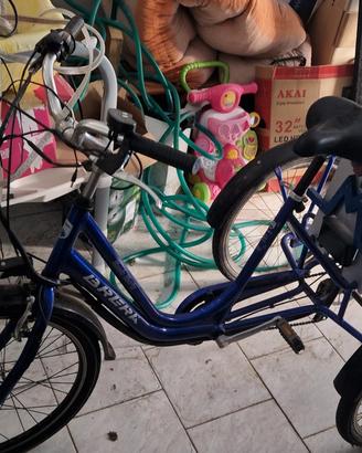 bici elettrica a 3 ruote