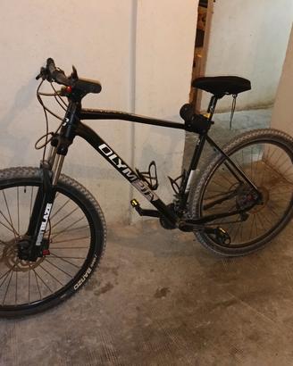 Bici mountain-bike 