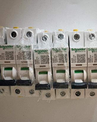 Magnetotermici Schneider Electric 6 10 16 e 20 A
