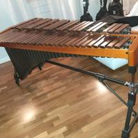 Marimba “BERGERAULT 09.11 – MP43H – N° 14136”