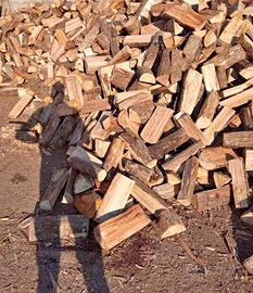 legna da ardere secca 