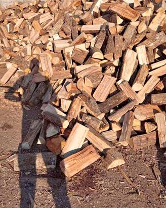 legna da ardere secca 