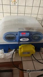 Incubatrice borotto real 49