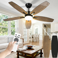 106cm Ventilatore da Soffitto