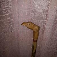 Bastone intagliato a mano 