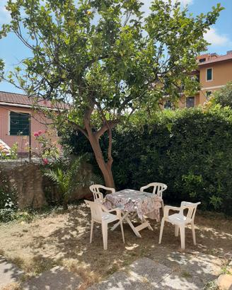 Cervo ( im) dal 16 al 30 settembre o ottobre