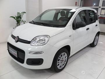 FIAT Panda 1.2 Easy "Auto con Solo 14.000 km" C