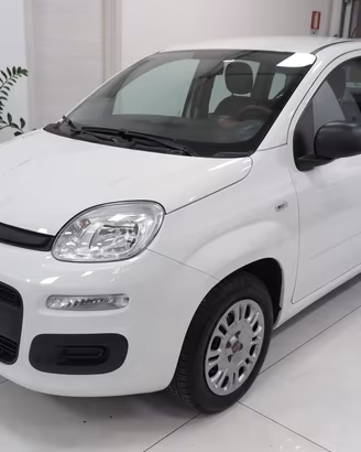 FIAT Panda 1.2 Easy "Auto con Solo 14.000 km" C