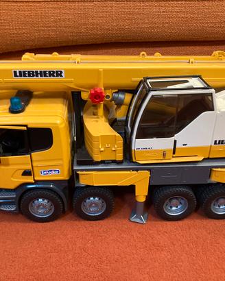 Camion autogru