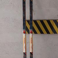 Sci Fondo tecnica libera Fischer