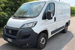 Fiat Ducato L1H1 2021 Distribuzione rotta!