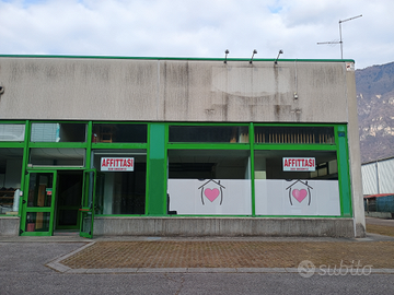 Locale commerciale loc. Fenadora Fonzaso