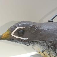 Stampo di cesena con ali aperte