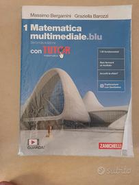 matematica multimediale.blu vol.1