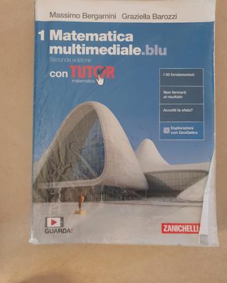 matematica multimediale.blu vol.1
