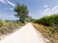 Immagine 20