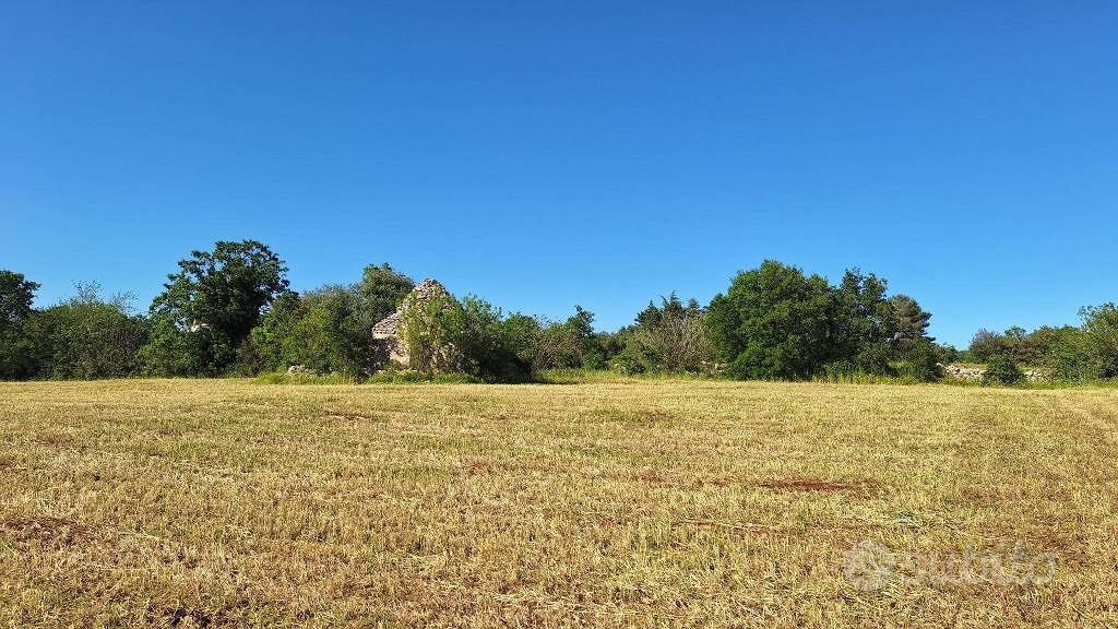 Rustico / Casale di 32 m² a Putignano - Vista 5