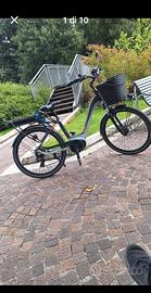 bicicletta elettrico 
