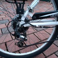 Bicicletta elettrica