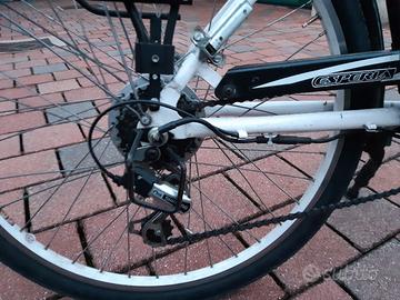 Bicicletta elettrica