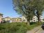 Immagine 10
