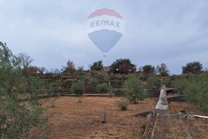 Terreno - Catania