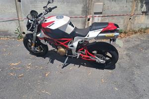 Bimota db6 delirio 1100