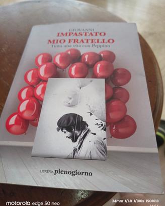 Impastato Mio fratello Giovanni