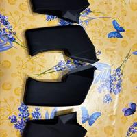 Ali originali Ducati Streetfighter V4/V2