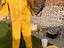 Immagine 2