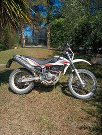 Beta Alp 4.0